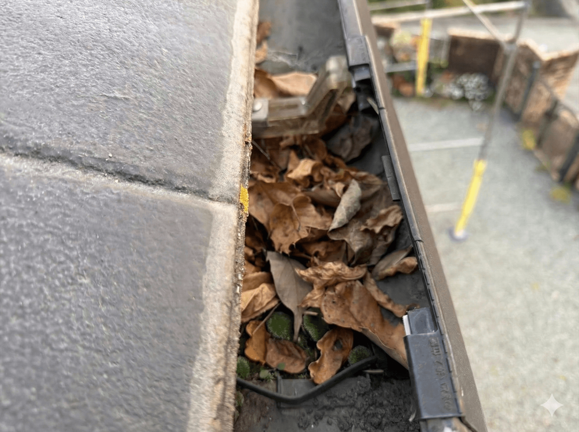 雨樋修理・交換の施工写真